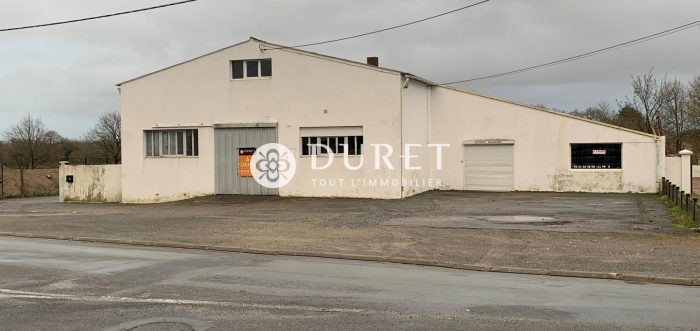 Louer Entrepôt Entrepôt, Challans 215 m2 - LP898-DURET