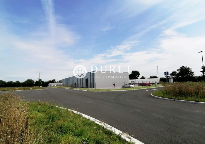 Louer Local professionnel Local professionnel, Les Achards 568 m2 - LP1237-DURET