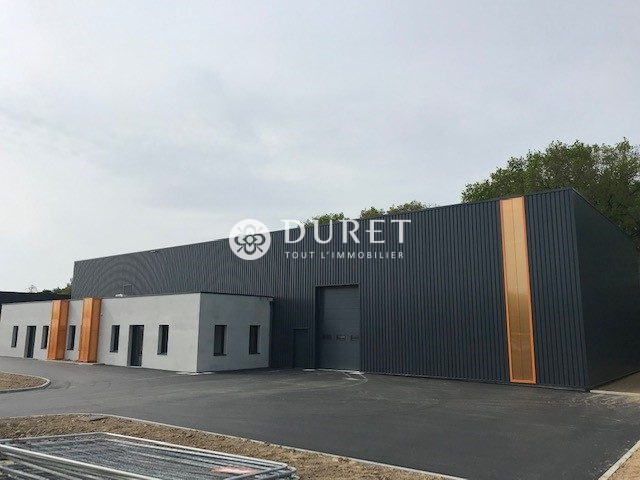 Louer Local professionnel Local professionnel, Montaigu-Vendée 497 m2 - LP1030-DURET