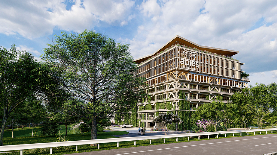 Bureaux neufs ossature bois Bureaux neufs ossature bois