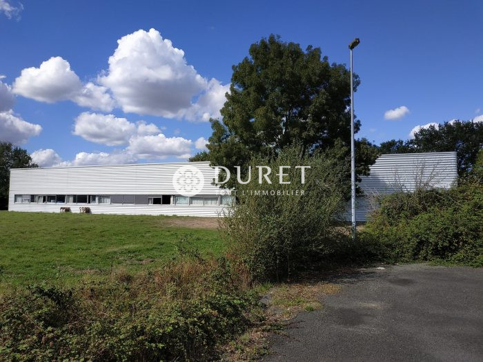 Acheter Local professionnel Local professionnel, Montaigu-Vendée 1000 m2 - VP786-DURET