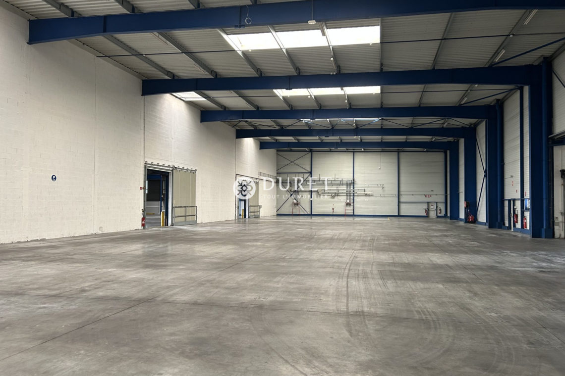 Acheter Local professionnel Local professionnel, Les Herbiers 3590 m2 - VP2522-DURET