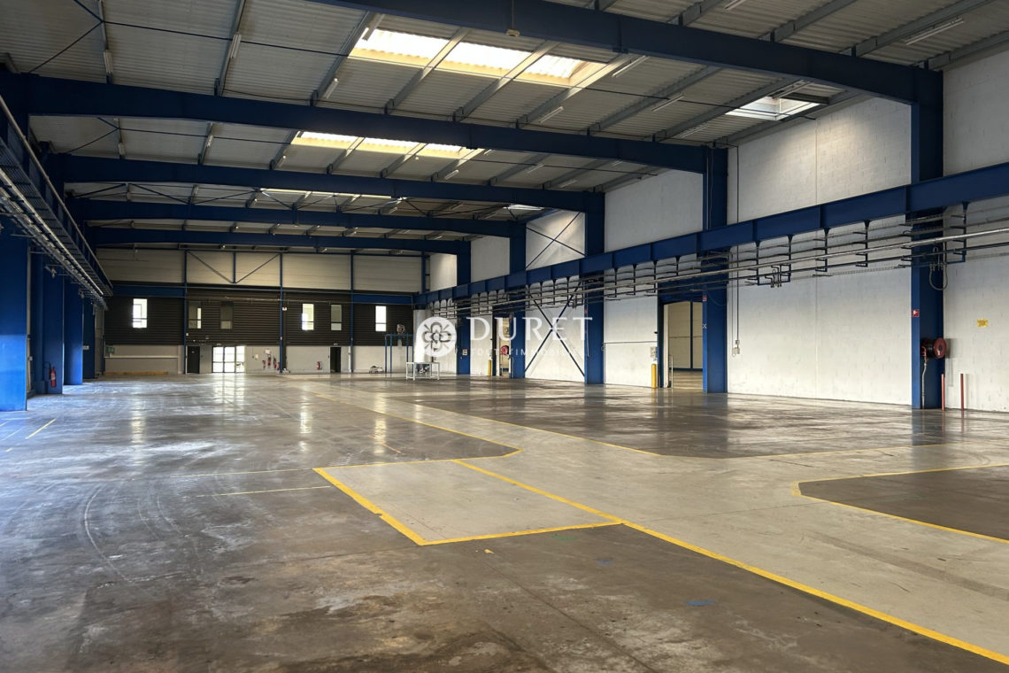 Acheter Local professionnel Local professionnel, Les Herbiers 3590 m2 - VP2522-DURET