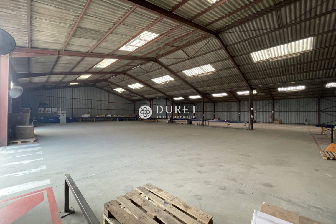 Acheter Entrepôt Entrepôt, La Chaize-le-Vicomte 1200 m2 - VP1653-DURET