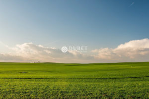 , Chantonnay 14000 m2