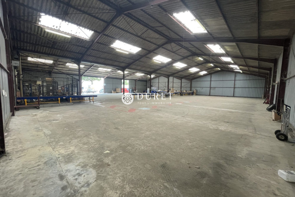 Acheter Entrepôt Entrepôt, La Chaize-le-Vicomte 1200 m2 - VP1653-DURET