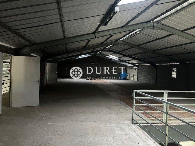 Louer Local professionnel Local professionnel, Luçon 1260 m2 - LP1852-DURET