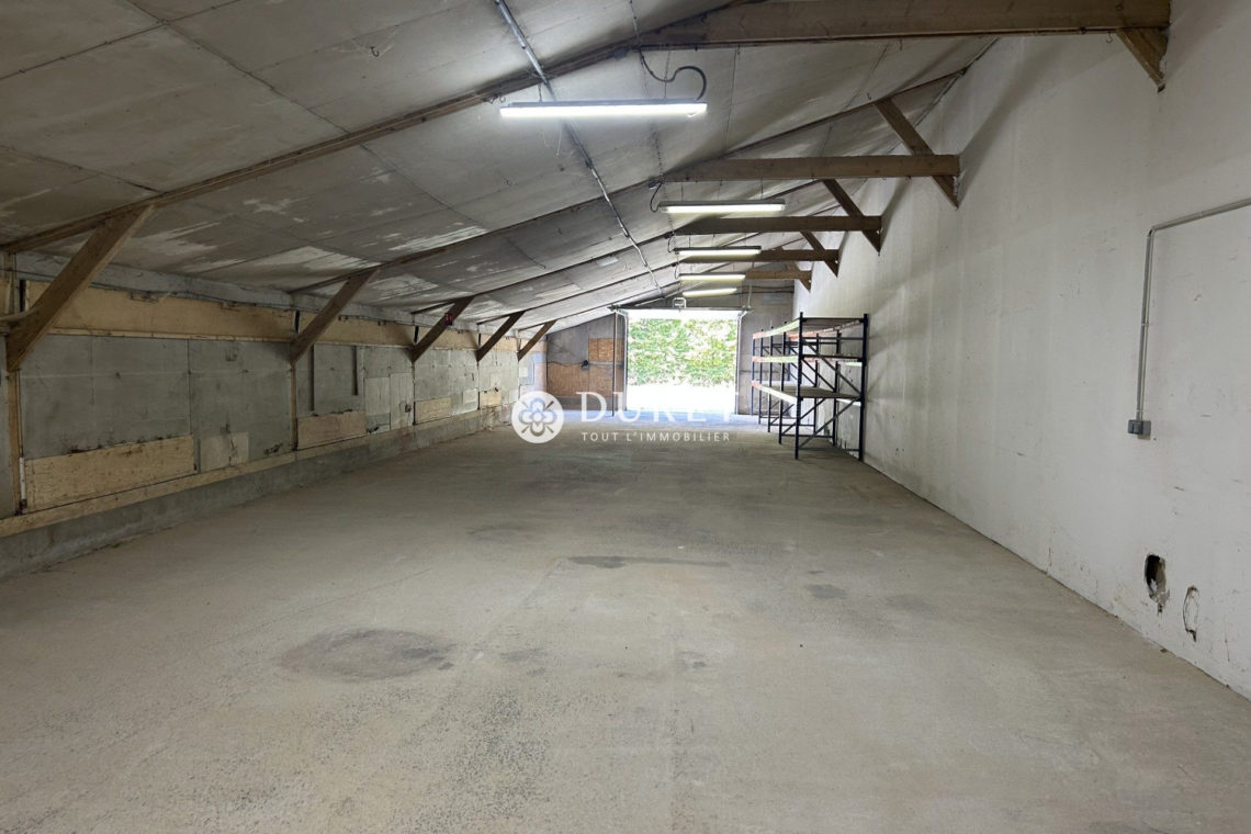 Louer Local professionnel Local professionnel, Montaigu-Vendée 250 m2 - LP2815-DURET