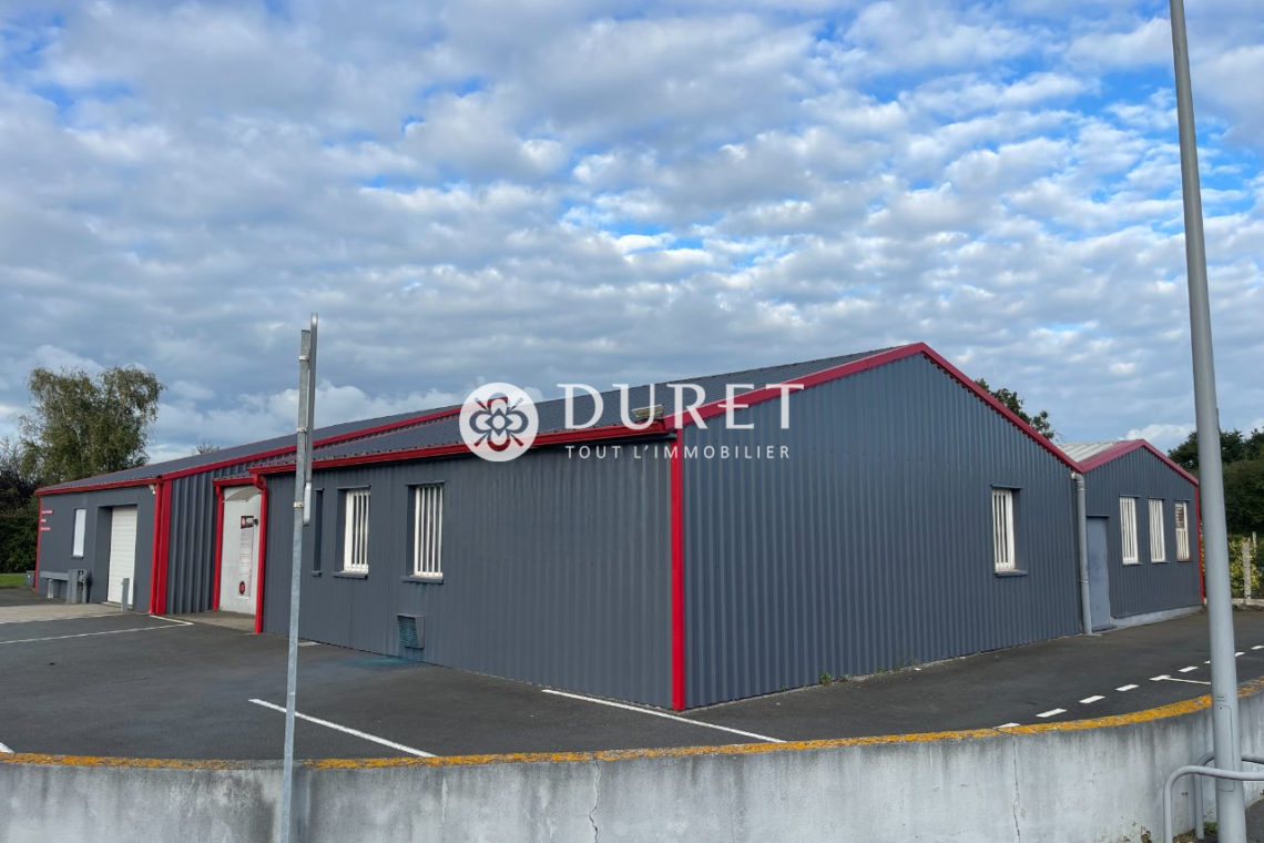 Acheter Local professionnel Local professionnel, Montaigu-Vendée 430 m2 - VP2344-DURET
