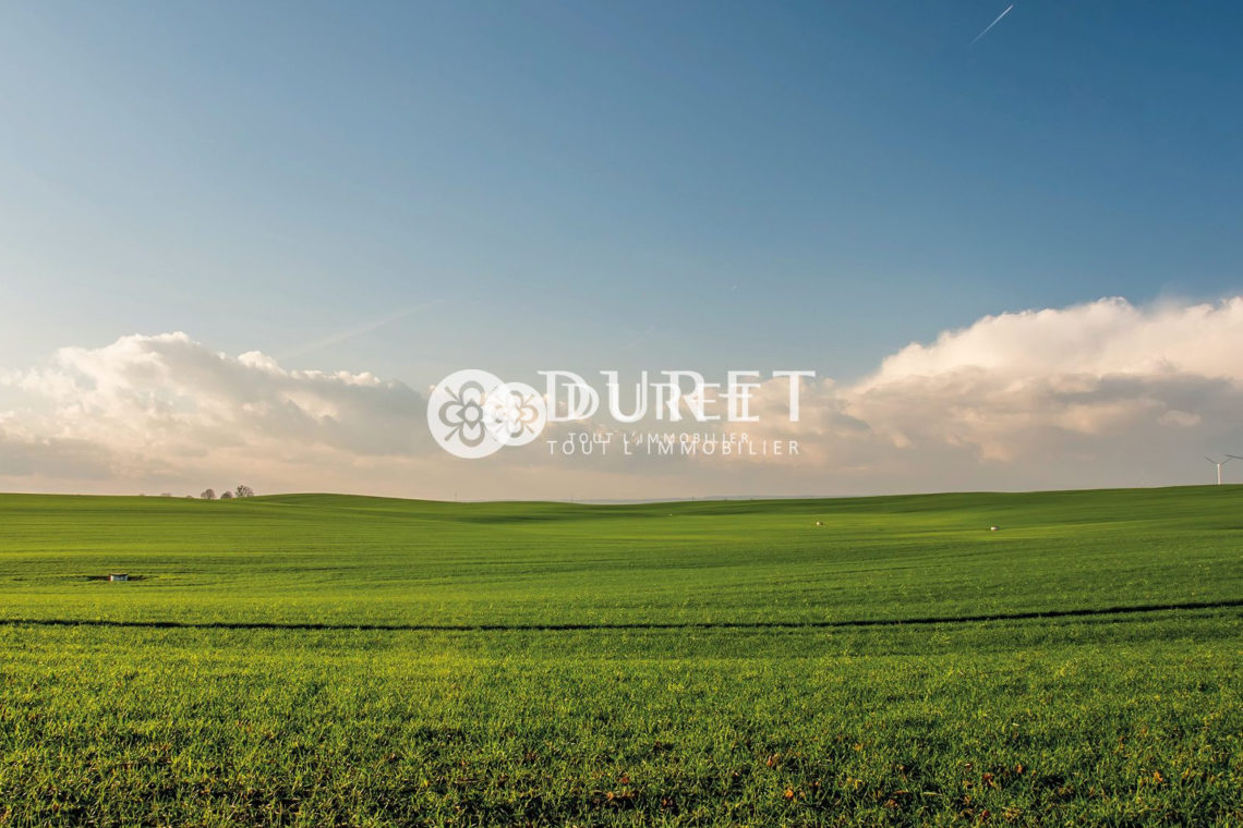 Acheter Terrain Terrain, Montaigu-Vendée 3140 m2 - VP2460-DURET