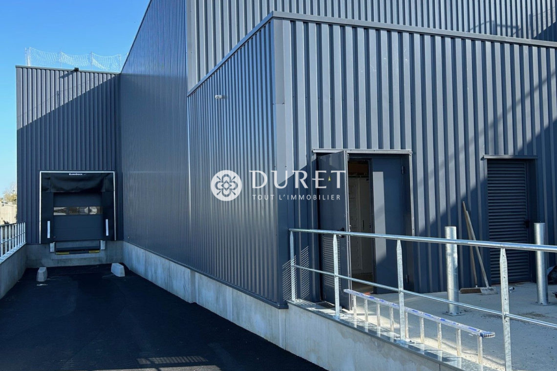 Louer Local professionnel Local professionnel, Montaigu-Vendée 2037 m2 - LP2373-DURET
