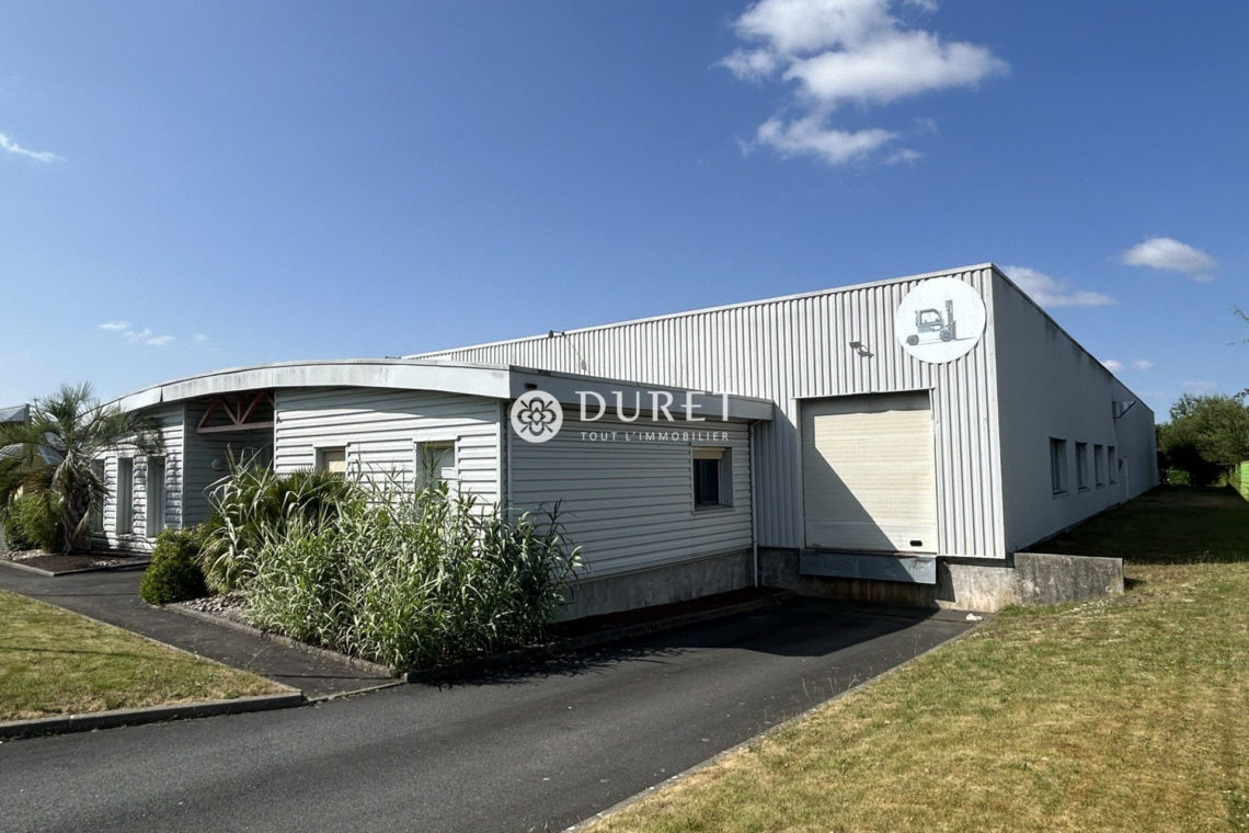 Louer Local professionnel Local professionnel, Montaigu-Vendée 1469 m2 - LP2359-DURET