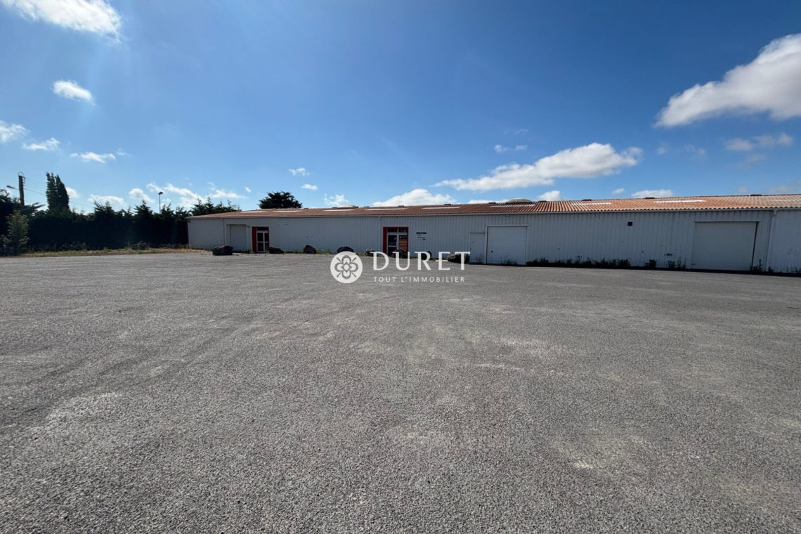 Acheter Local professionnel Local professionnel, Beauvoir-sur-Mer 1200 m2 - VP2498-DURET