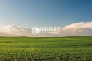 Terrain, Montaigu-Vendée 3140 m2