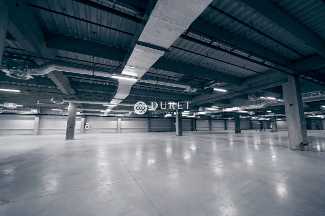 Louer Local professionnel Local professionnel, Essarts en Bocage 2703 m2 - LP2481-DURET