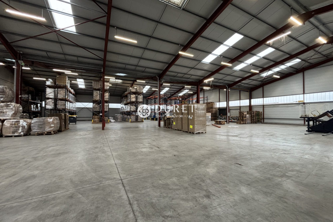 Louer Local professionnel Local professionnel, Montaigu-Vendée 3355 m2 - LP2931-DURET
