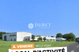 Local industriel, Bellevigny 770 m2