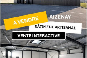 Local professionnel, Aizenay 391 m2