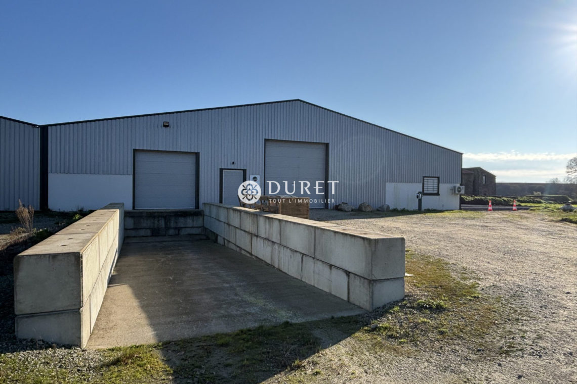 Louer Entrepôt Entrepôt, La Roche-sur-Yon 800 m2 - LP2939-DURET