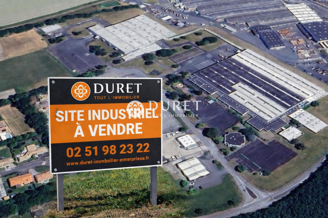 Acheter Local industriel Local industriel, Aizenay 22958 m2 - VP3051-DURET