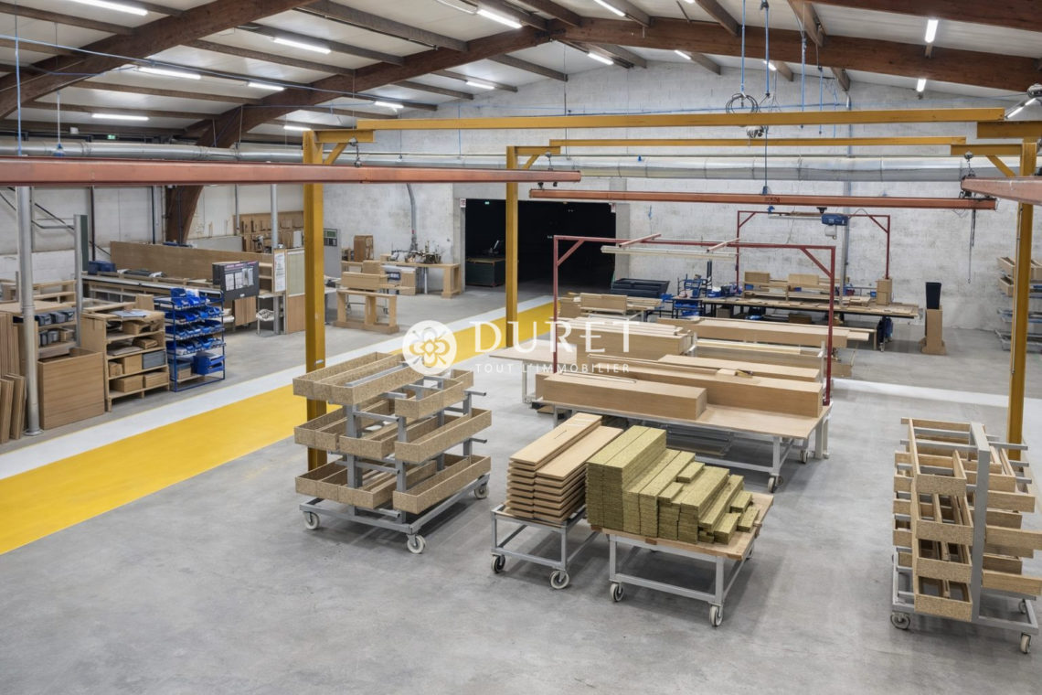 Louer Local professionnel Local professionnel, La Bruffière 737 m2 - LP3016-DURET