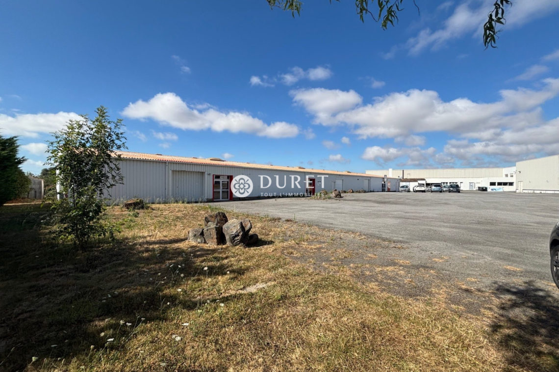Acheter Local professionnel Local professionnel, Beauvoir-sur-Mer 1200 m2 - VP2498-DURET