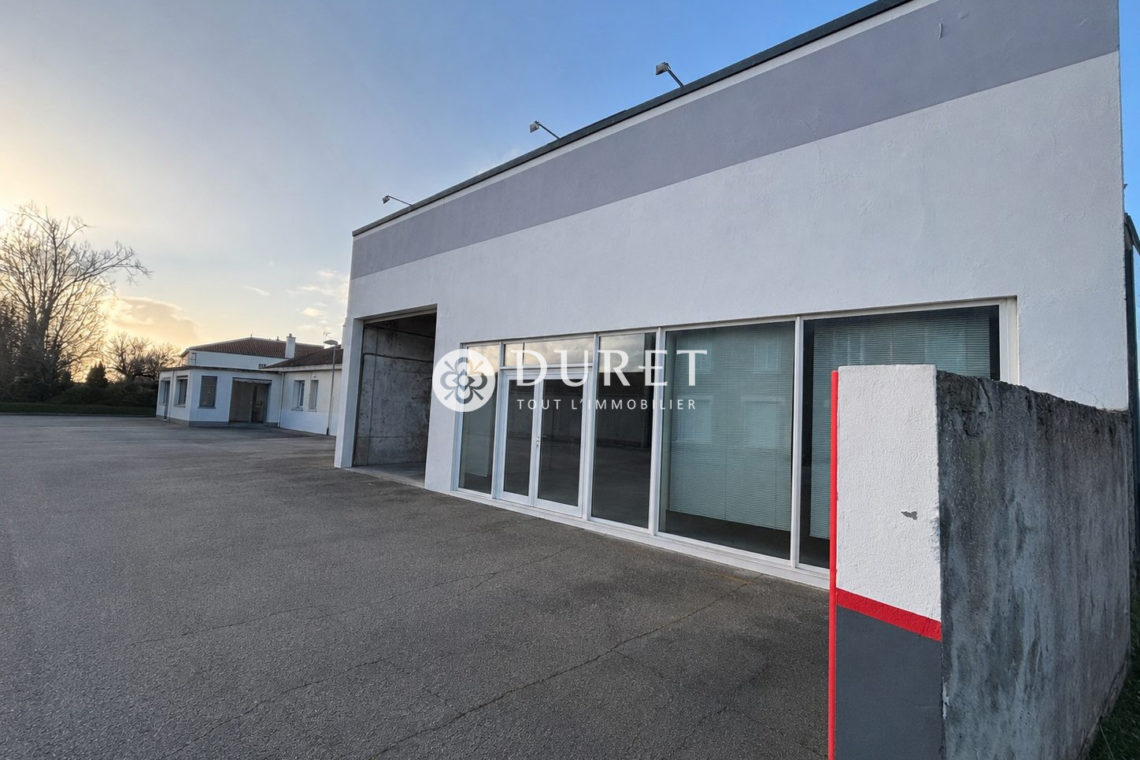 Acheter Local professionnel Local professionnel, Le Perrier 488 m2 - VP3180-DURET