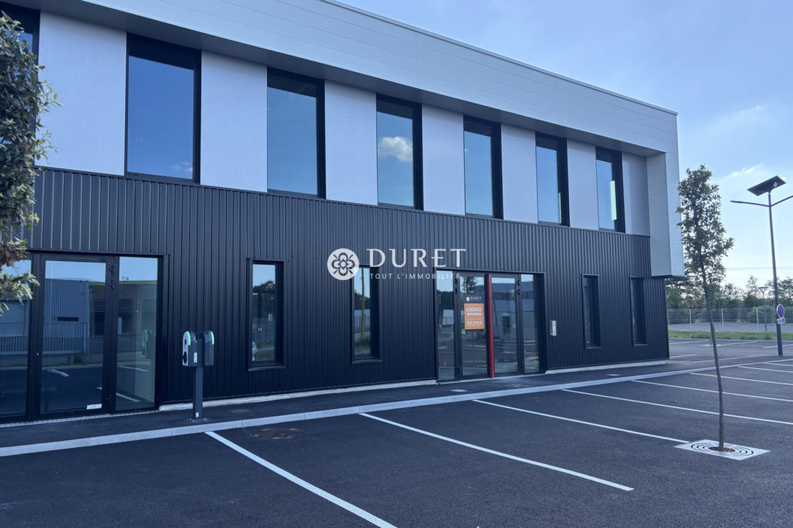 Louer Bureau Bureau, Montaigu-Vendée 234 m2 - LP3165-DURET