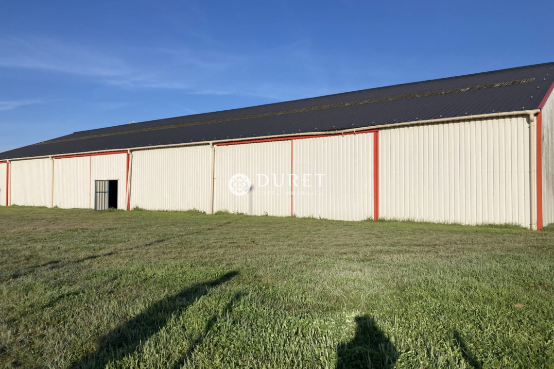 Louer Local industriel Local industriel, Saint-Jean-de-Monts 1350 m2 - LP3182-DURET